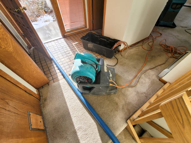 Best Ceiling water damage repair  in Fruitvale, CO