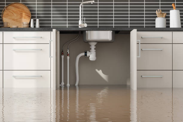 Best Water damage restoration cost  in Fruitvale, CO