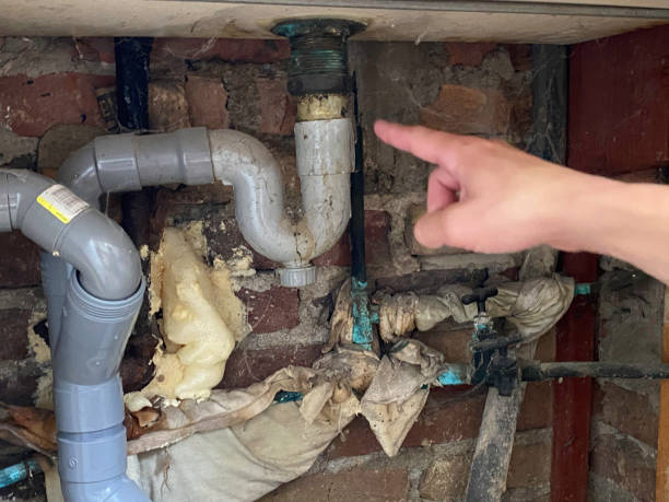 Best Carpet water damage restoration  in Fruitvale, CO